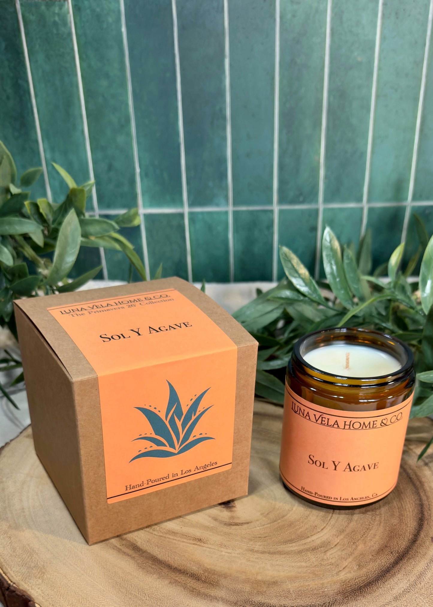 Sol Y Agave Scented Candle